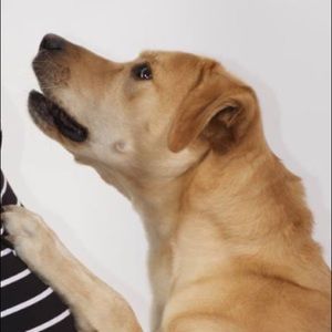 Meet your Posher, Falon